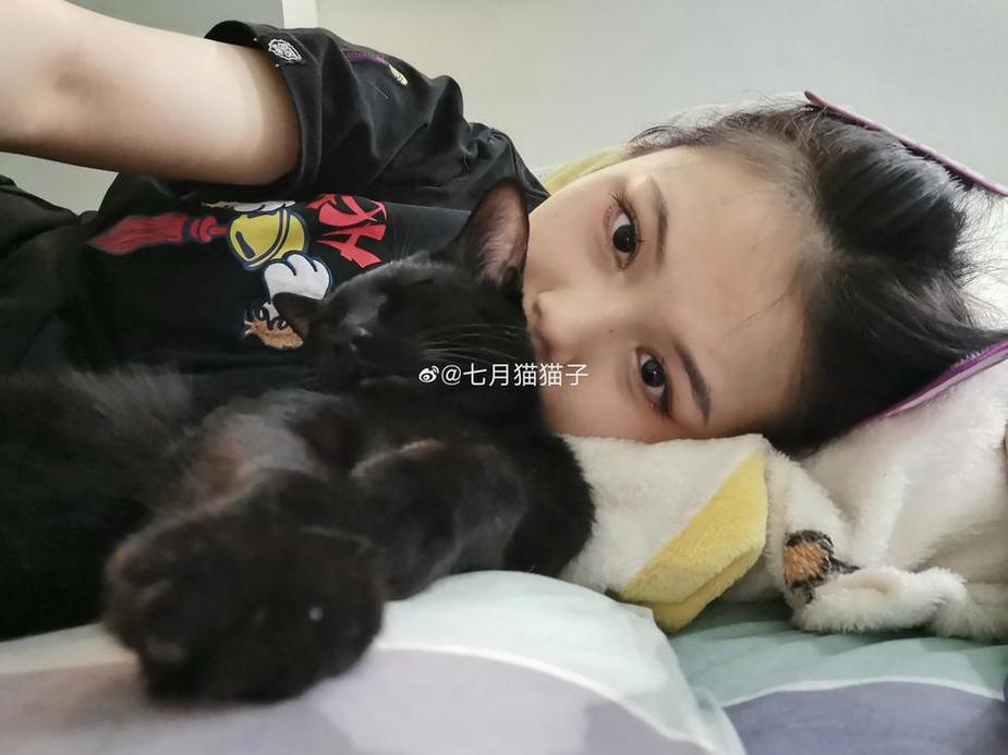 51吃瓜最新地址回家：在线观看直播，最新八卦不容错过