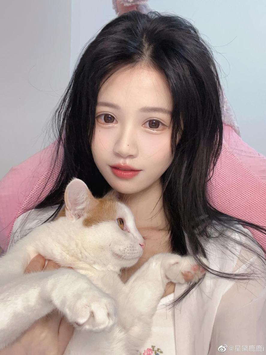 在51吃瓜导航，一键进入名人八卦世界