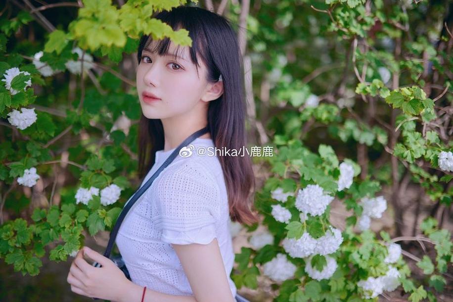 黑料正能量导航，助您畅游互联网世界